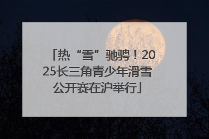 热“雪”驰骋！2025长三角青少年滑雪公开赛在沪举行
