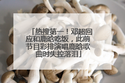 热搜第一！邓超回应和鹿晗吃饭，此前节目彩排演唱鹿晗歌曲时失控落泪