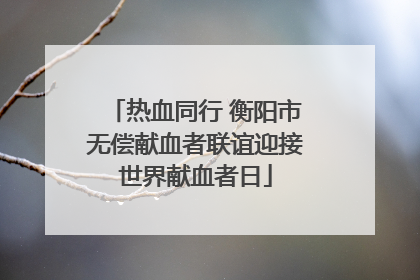 热血同行 衡阳市无偿献血者联谊迎接世界献血者日