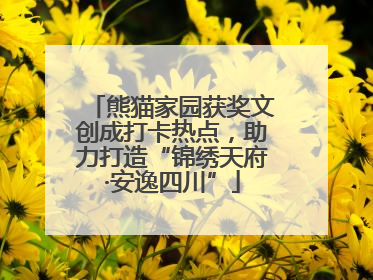 熊猫家园获奖文创成打卡热点，助力打造“锦绣天府·安逸四川”
