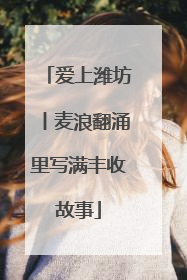 爱上潍坊丨麦浪翻涌里写满丰收故事