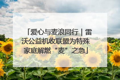 爱心与麦浪同行｜雷沃公益机收联盟为特殊家庭解燃“麦”之急