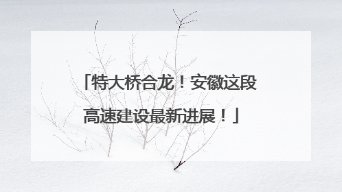 特大桥合龙！安徽这段高速建设最新进展！