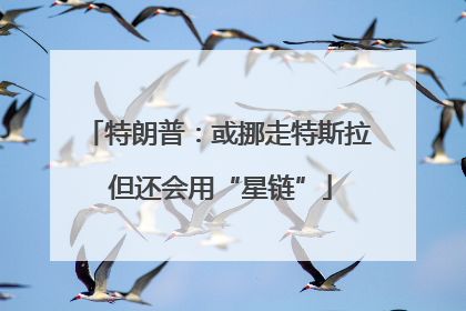 特朗普：或挪走特斯拉 但还会用“星链”
