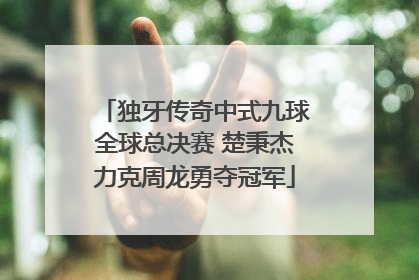 独牙传奇中式九球全球总决赛 楚秉杰力克周龙勇夺冠军