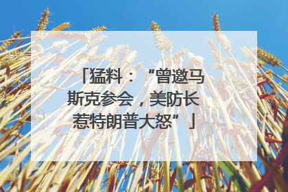 猛料：“曾邀马斯克参会，美防长惹特朗普大怒”
