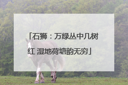 石狮：万绿丛中几树红 湿地荷塘韵无穷