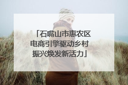 石嘴山市惠农区电商引擎驱动乡村振兴焕发新活力