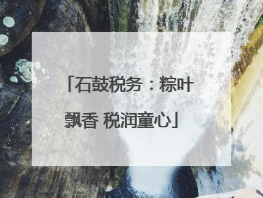 石鼓税务：粽叶飘香 税润童心
