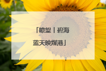 瞭望丨碧海蓝天映煤港