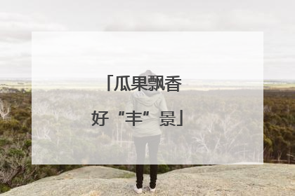 瓜果飘香 好“丰”景