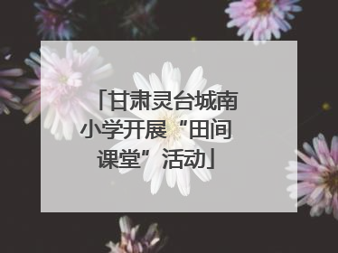 甘肃灵台城南小学开展“田间课堂”活动