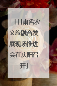 甘肃省农文旅融合发展现场推进会在庆阳召开