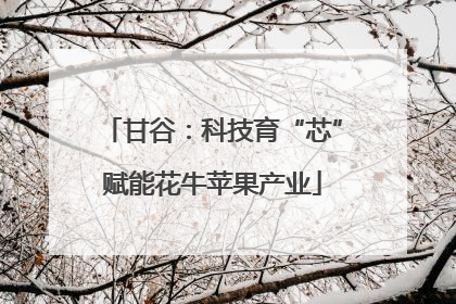 甘谷：科技育“芯”赋能花牛苹果产业