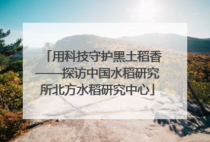 用科技守护黑土稻香——探访中国水稻研究所北方水稻研究中心