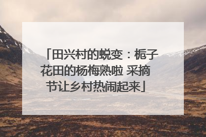 田兴村的蜕变：栀子花田的杨梅熟啦 采摘节让乡村热闹起来