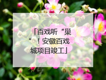 百戏听“巢”！安徽百戏城项目竣工