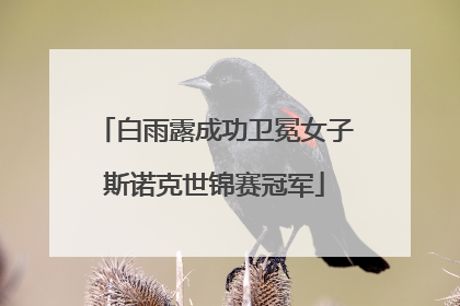 白雨露成功卫冕女子斯诺克世锦赛冠军