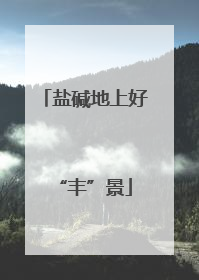 盐碱地上好“丰”景