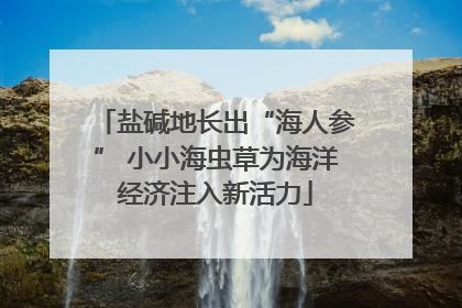 盐碱地长出“海人参” 小小海虫草为海洋经济注入新活力