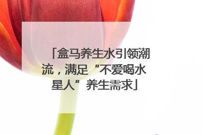 盒马养生水引领潮流，满足“不爱喝水星人”养生需求