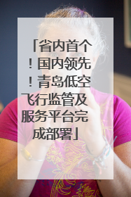 省内首个！国内领先！青岛低空飞行监管及服务平台完成部署