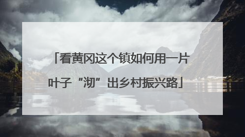 看黄冈这个镇如何用一片叶子“沏”出乡村振兴路