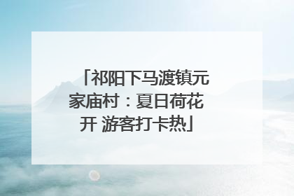 祁阳下马渡镇元家庙村：夏日荷花开 游客打卡热