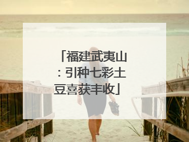 福建武夷山：引种七彩土豆喜获丰收
