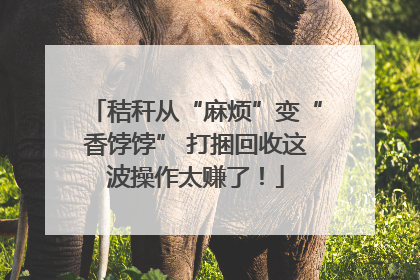 秸秆从“麻烦”变“香饽饽” 打捆回收这波操作太赚了！