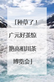 种草了！广元好茶惊艳亮相川茶博览会