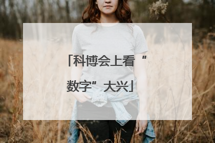 科博会上看“数字”大兴