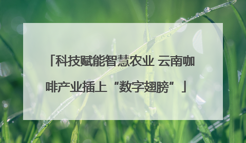科技赋能智慧农业 云南咖啡产业插上“数字翅膀”