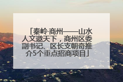 秦岭·商州——山水人文邀天下，商州区委副书记、区长支朝奇推介5个重点招商项目