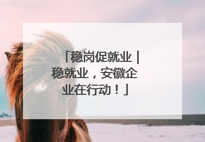 稳岗促就业｜稳就业，安徽企业在行动！