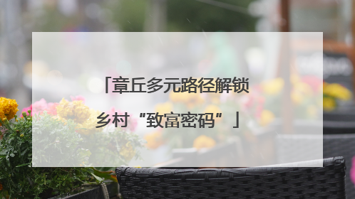 章丘多元路径解锁乡村“致富密码”