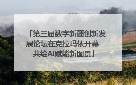 第三届数字新疆创新发展论坛在克拉玛依开幕 共绘AI赋能新图景