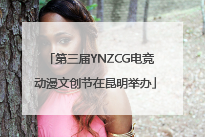 第三届YNZCG电竞动漫文创节在昆明举办