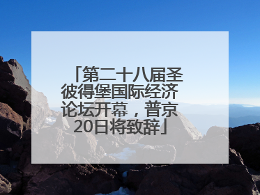 第二十八届圣彼得堡国际经济论坛开幕，普京20日将致辞