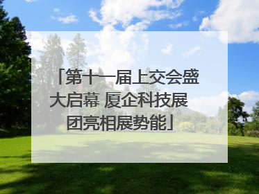 第十一届上交会盛大启幕 厦企科技展团亮相展势能