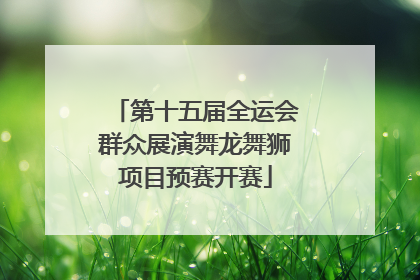 第十五届全运会群众展演舞龙舞狮项目预赛开赛