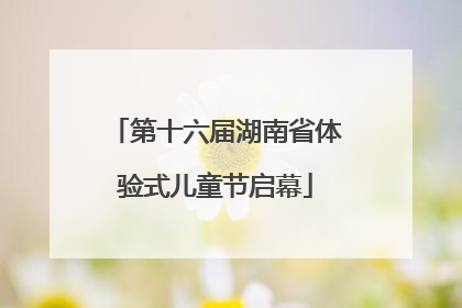 第十六届湖南省体验式儿童节启幕