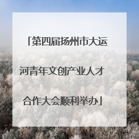 第四届扬州市大运河青年文创产业人才合作大会顺利举办