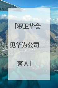 罗卫华会见华为公司客人
