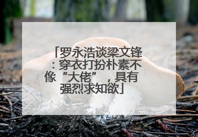 罗永浩谈梁文锋：穿衣打扮朴素不像“大佬”，具有强烈求知欲