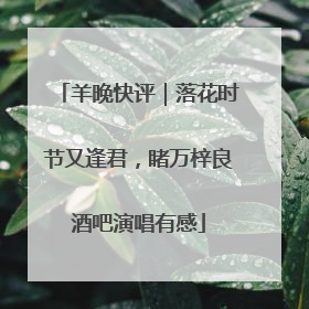 羊晚快评｜落花时节又逢君，睹万梓良酒吧演唱有感