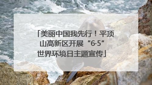 美丽中国我先行！平顶山高新区开展“6·5”世界环境日主题宣传