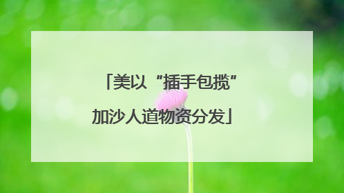 美以“插手包揽”加沙人道物资分发