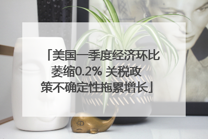 美国一季度经济环比萎缩0.2% 关税政策不确定性拖累增长