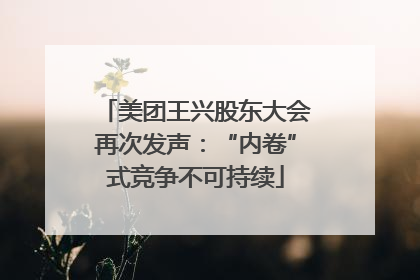 美团王兴股东大会再次发声：“内卷”式竞争不可持续